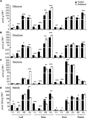 Highest Defoliation Tolerance in <mark class="highlighted">Amaranthus</mark> cruentus Plants at Panicle Development Is Associated With Sugar Starvation Responses